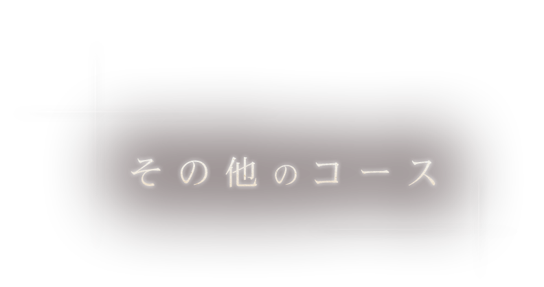 その他のコース