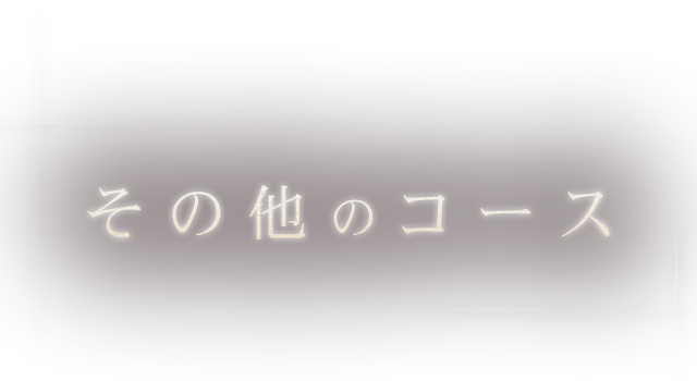 その他のコース